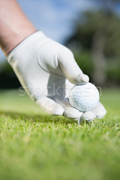 Golfer placing golf ball on tee Stock photo © wavebreak_media