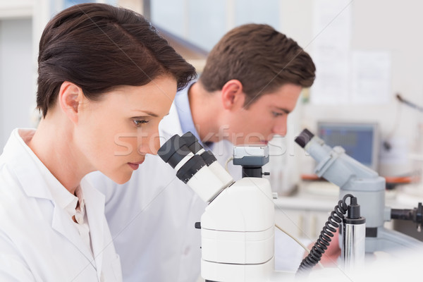 Scientists looking attentively in microscopes Stock photo © wavebreak_media