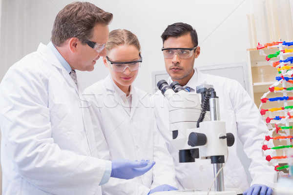 Scientists working attentively with microscope Stock photo © wavebreak_media