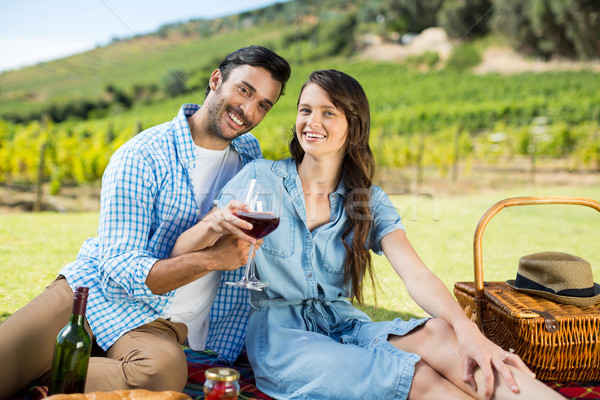 Foto stock: Retrato · alegre · casal · copos · de · vinho · vinha