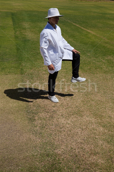 Cricket umpire signaling leg bye during match Stock photo © wavebreak_media
