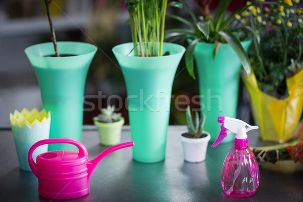 Blumenvase Gießkanne Topf Anlage Spray Flasche Stock foto © wavebreak_media