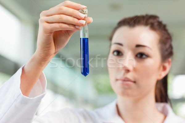 Brunette scientist looking at a test tube in a laboratory Stock photo © wavebreak_media