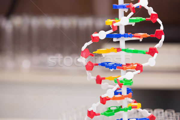 Dna helix model Stock photo © wavebreak_media