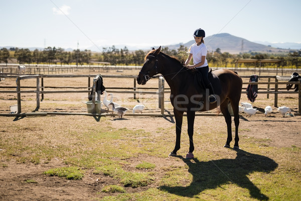 Mädchen Reiten Pferd Ranch Obst Stock foto © wavebreak_media