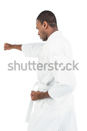 Fighter performing karate stance Stock photo © wavebreak_media