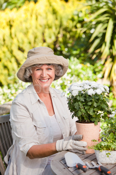 Senior mulher flores jardim flor primavera Foto stock © wavebreak_media