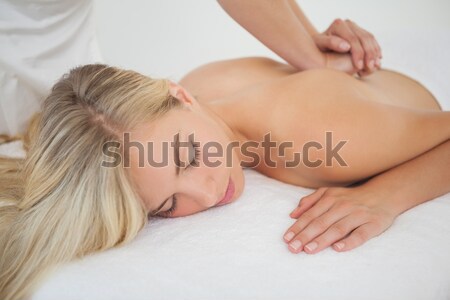 Schönen genießen Massage Frau Stock foto © wavebreak_media