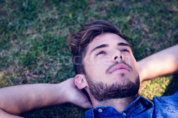 Young man lying down in the park Stock photo © wavebreak_media