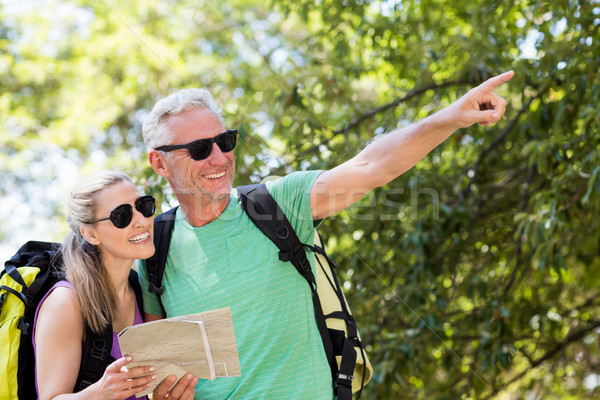 Foto stock: Pareja · senalando · mapa · madera · árbol