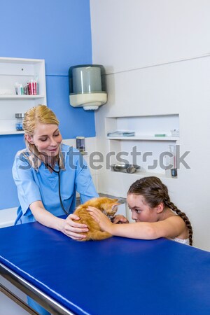 Woman vet examining a cat Stock photo © wavebreak_media