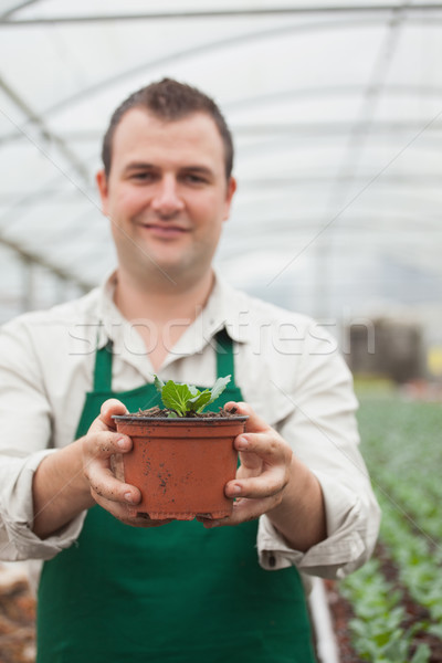 園丁 植物 手 男子 商業照片 © wavebreak_media