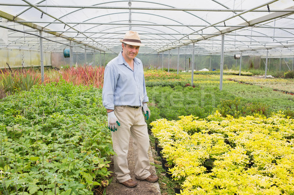 Férfi áll üvegház mosolyog visel kalap Stock fotó © wavebreak_media
