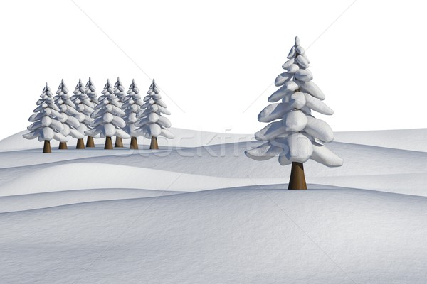 Sapin arbres paysage blanche forêt glace [[stock_photo]] © wavebreak_media