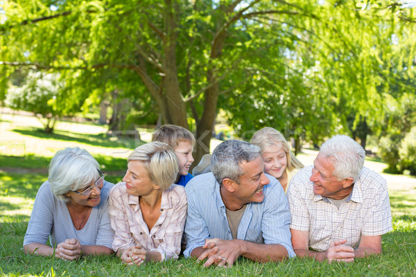 Foto stock: Familia · feliz · hablar · parque · mujer · árbol