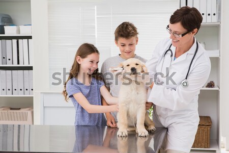 [[stock_photo]]: Souriant · vétérinaire · chien · propriétaires · médicaux