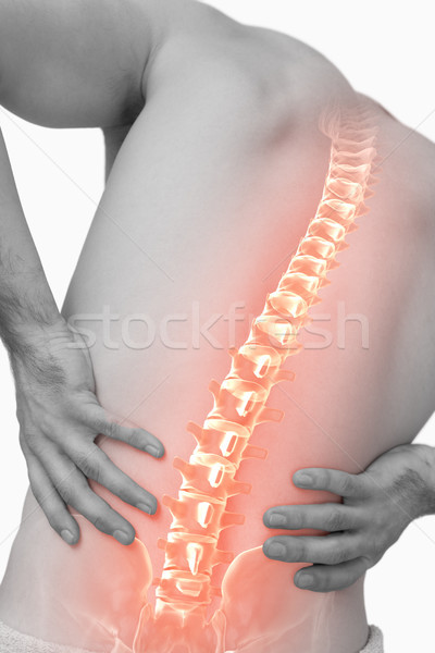 Foto stock: Compuesto · digital · espina · hombre · dolor · de · espalda · blanco · equipo