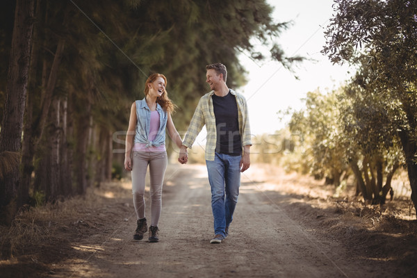 Young couple holding hands while walking on dirt road at olive farm Stock photo © wavebreak_media