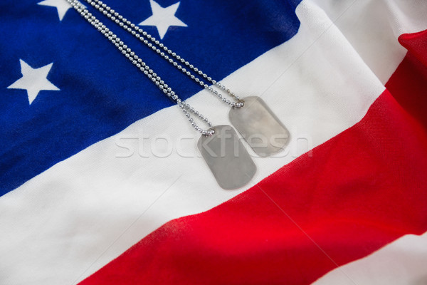 Perro etiqueta cadena bandera de Estados Unidos primer plano moda Foto stock © wavebreak_media