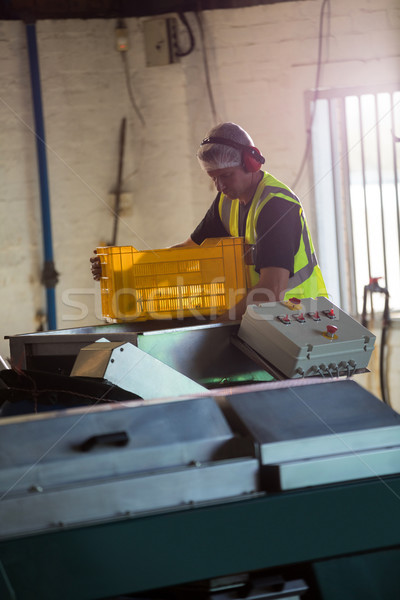 Worker putting harvested olive in machine Stock photo © wavebreak_media