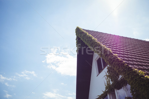 Creepers plants on a house Stock photo © wavebreak_media