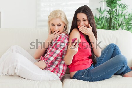 Barátok ül kanapé ölel nappali megbeszélés Stock fotó © wavebreak_media
