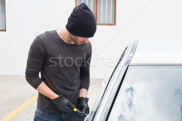 Ladro auto cacciavite maschio assicurazione guanti Foto d'archivio © wavebreak_media