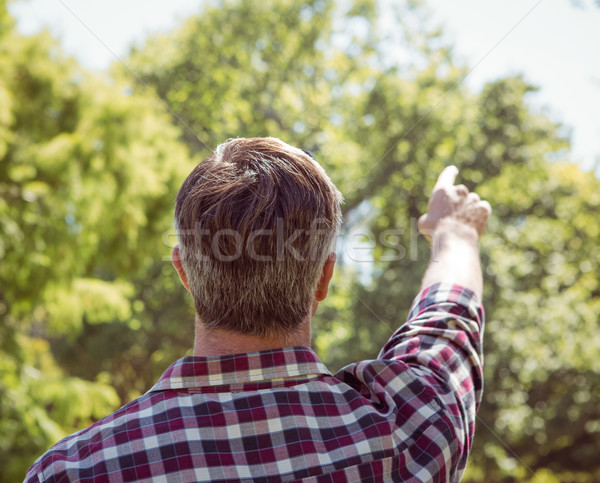 Gündelik adam işaret park ağaç Stok fotoğraf © wavebreak_media