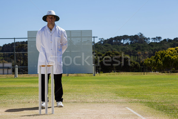 Tam uzunlukta hakem ayakta arkasında kriket maç Stok fotoğraf © wavebreak_media