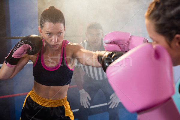 Feminino atletas boxe anel árbitro Foto stock © wavebreak_media