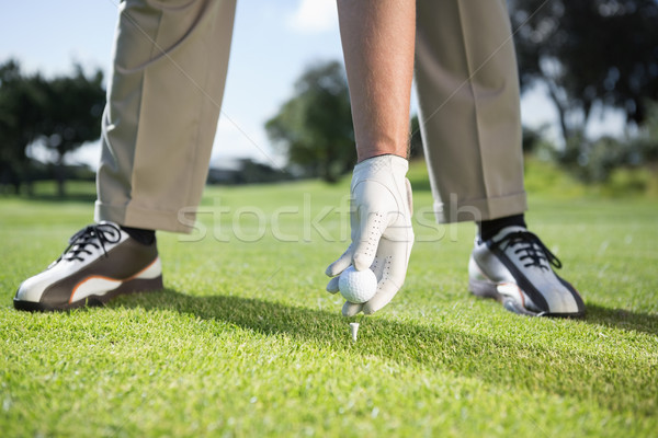 Golfçü golf topu golf sahası çim spor Stok fotoğraf © wavebreak_media
