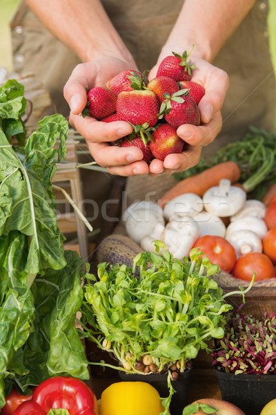 Stock fotó: Gazda · mutat · organikus · eprek · napos · idő · férfi