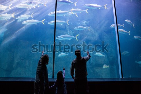 Küçük kardeşler bakıyor balık tank akvaryum Stok fotoğraf © wavebreak_media