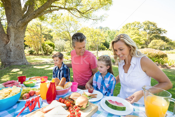 Foto stock: Família · feliz · refeição · parque · mulher · laptop