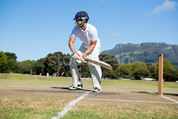 Foto stock: Jogador · campo · céu · claro · árvore · grama