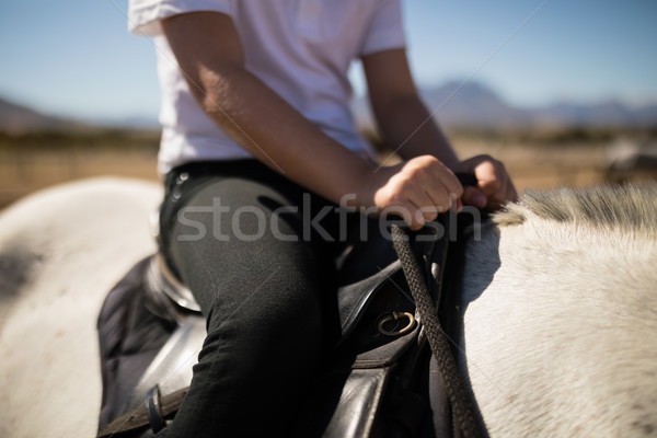 Nino sesión caballo atrás nina Foto stock © wavebreak_media