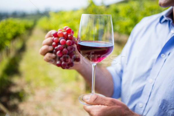 Mid section of vintner holding grapes and glass of wine Stock photo © wavebreak_media