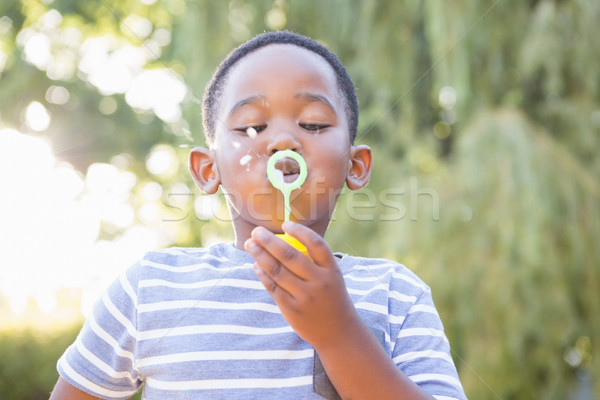 Băiat balon parc copil Imagine de stoc © wavebreak_media