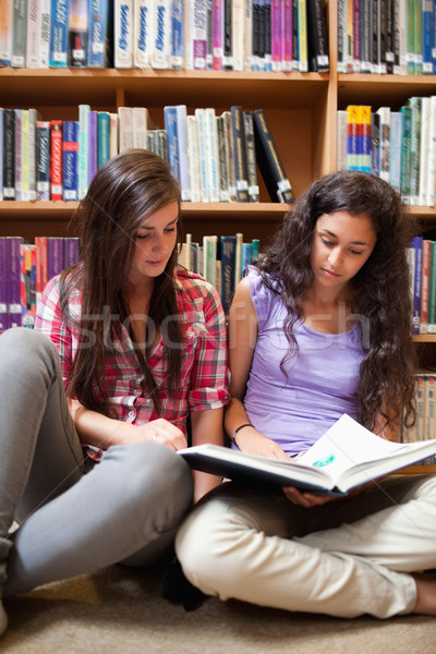 Porträt weiblichen Studenten Lesung Bibliothek Frau Stock foto © wavebreak_media