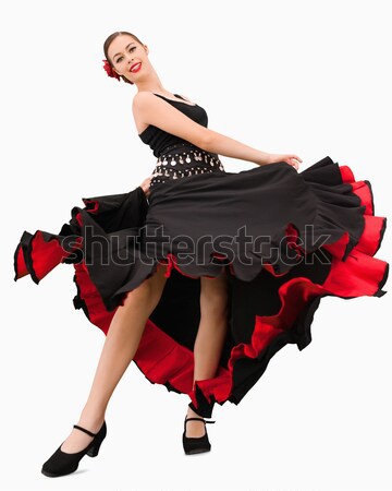 Flamenko dansçı elbise boya gri Stok fotoğraf © wavebreak_media
