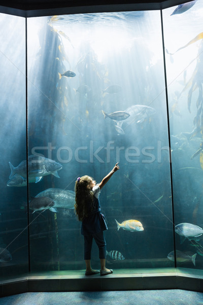 商业照片: 小女孩 ·看·鱼· 坦克 · 水族馆 · 孩子