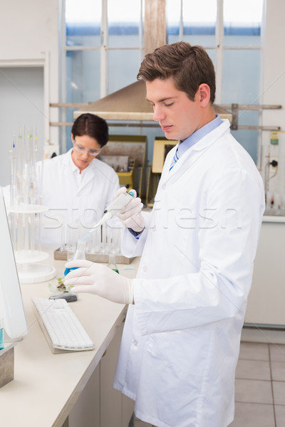 Cientistas trabalhando test tube laboratório mulher médico Foto stock © wavebreak_media