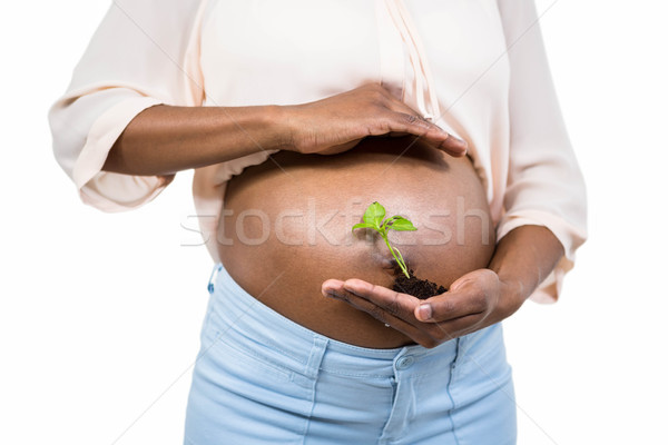 Terhes nő tart növekvő növény fehér nő Stock fotó © wavebreak_media
