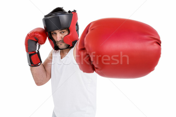 Boxeador cabeça luvas retrato isolado Foto stock © wavebreak_media