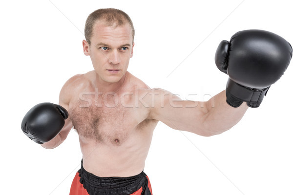 Stock photo: Boxer performing boxing stance