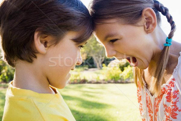 Bruder Schwester Park Baum Stock foto © wavebreak_media