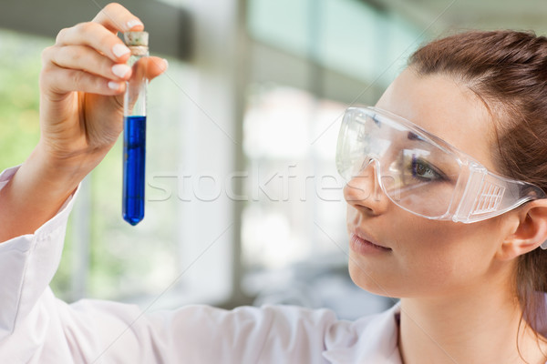 Vrouwelijke wetenschap student naar reageerbuis laboratorium Stockfoto © wavebreak_media