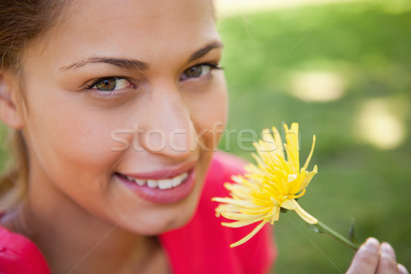 Woman looking towards the camera while holding a yellow flower with grass in the background Stock photo © wavebreak_media