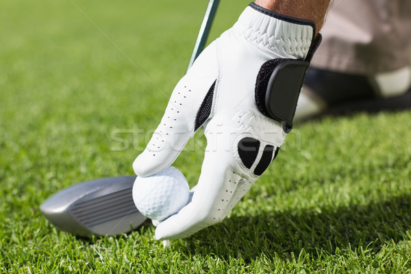 Golfer placing golf ball on tee Stock photo © wavebreak_media