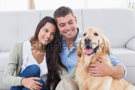Anziehend Paar genießen Hunde Unternehmen home Stock foto © wavebreak_media